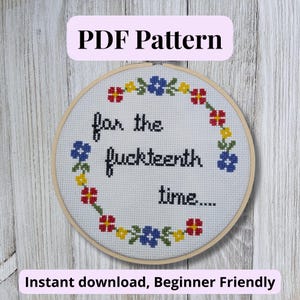 PDF Cross Stitch Pattern, For the fuckteenth time, Beginner Friendly, Instant Download