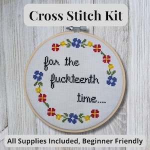 Snarky Cross Stitch Kit: &quot;For the F**kteenth Time&quot; - Funny DIY Embroidery
