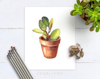 Peperomia Plant in clay pot Watercolor painting reproduction,  art print MTO, Ships Rolled
