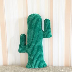 Cactus Crochet Pattern, Crochet Cactus, Cactus Pillow, Knit Pushion Pillow, Succulent Pillow, Plush Cactus, Cacti, Minimalist Pillow, Scanty image 7