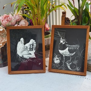 May include: Two framed black and white illustrations of birds. The first illustration shows a bird with its wings spread out. The second illustration shows a bird with its chicks.