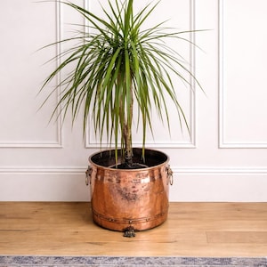 Victorian Copper Jardinerie | Vintage Copper Coal Bucket | Coal Scuttle | Vintage Jardinerie | Antique | Fireside | Lions Feet | Logs | 1850