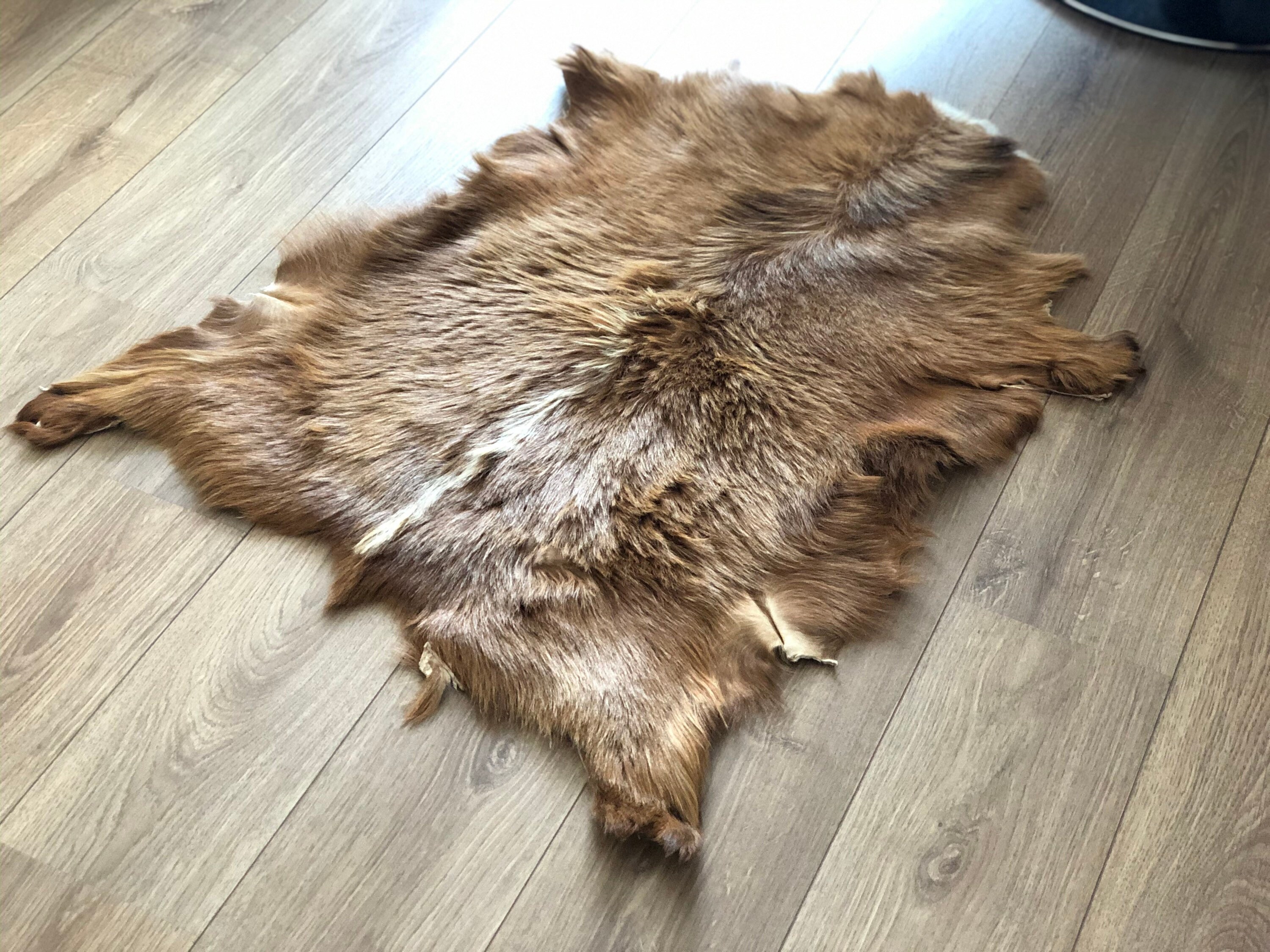 Goatskin rug shiny hair goat real goat rug leather rug pad Etsy