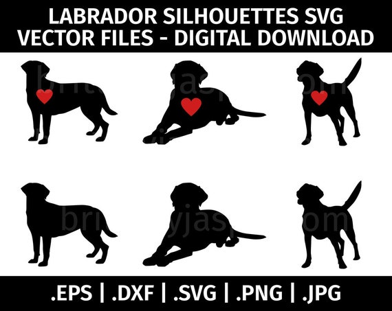 Lab Silhouette Svg - 1830+ File SVG PNG DXF EPS Free