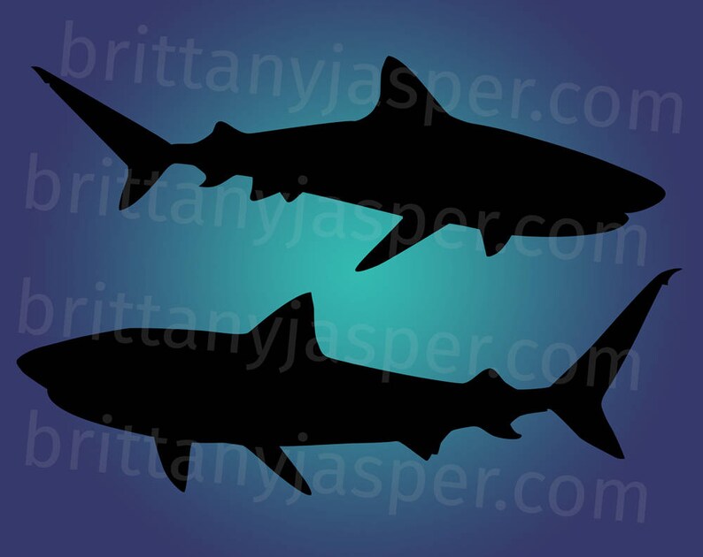 Free Free Shark Svg For Cricut 150 SVG PNG EPS DXF File