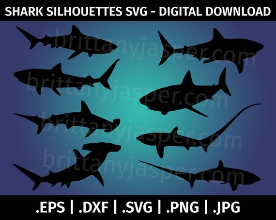 Free Free 163 Silhouette Hammerhead Shark Svg SVG PNG EPS DXF File