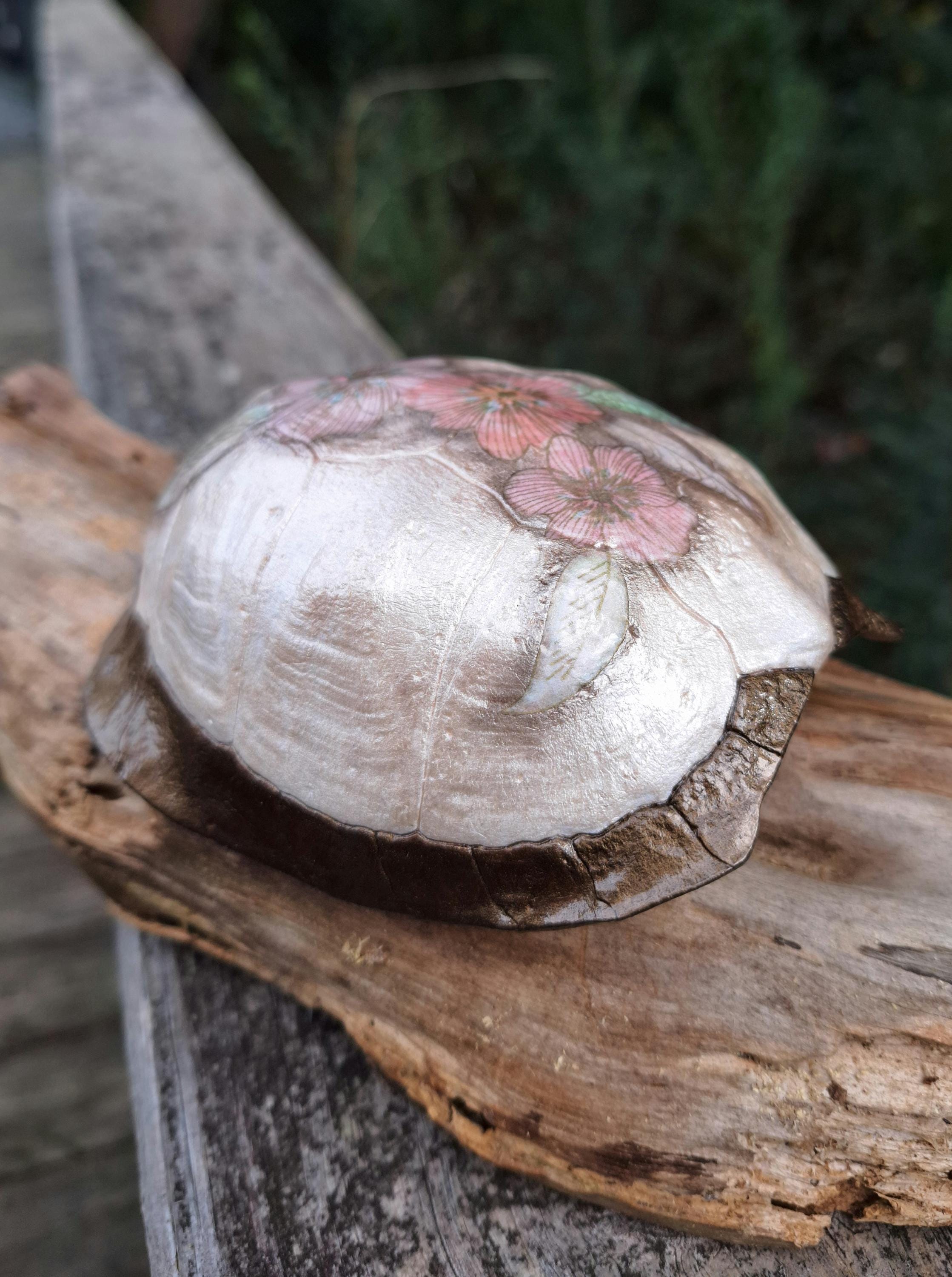Native Painted Turtle Shell Hand Painted Found Turtle Shell - Etsy
