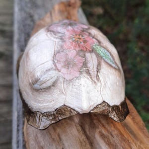 Könnte beinhalten: Eine dekorative Schildkrötenschale mit floralem Design. Die Schale ist überwiegend cremefarben mit einem braunen Rand und zeigt rosa Blüten und grüne Blätter. Die Schale liegt auf einem Holzstück.