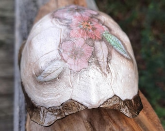 Hand Painted Found Turtle Shell