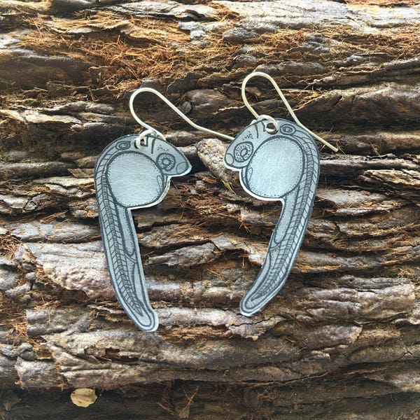 Zebrafish embryo earrings