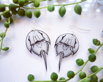 Horseshoe crab earrings