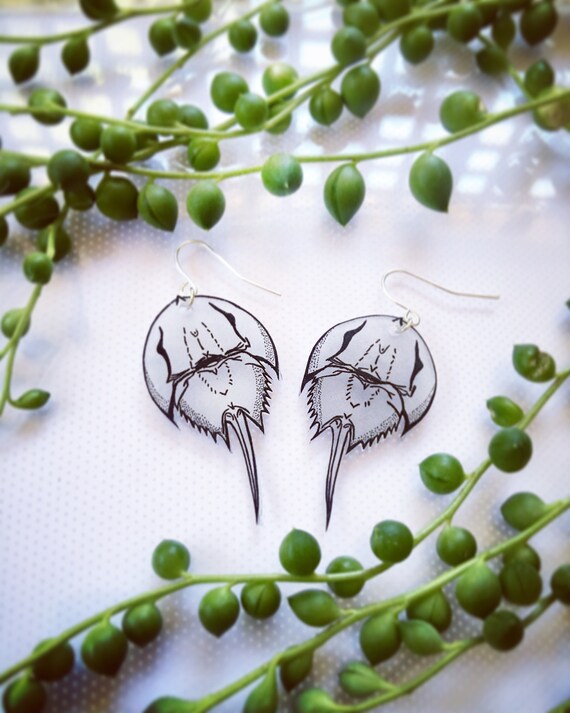 Horseshoe crab earrings Etsy