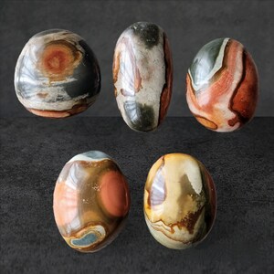 May include: Five smooth, polished, oval-shaped stones with a variety of brown, white, and red patterns. The stones are arranged in a row on a gray background.