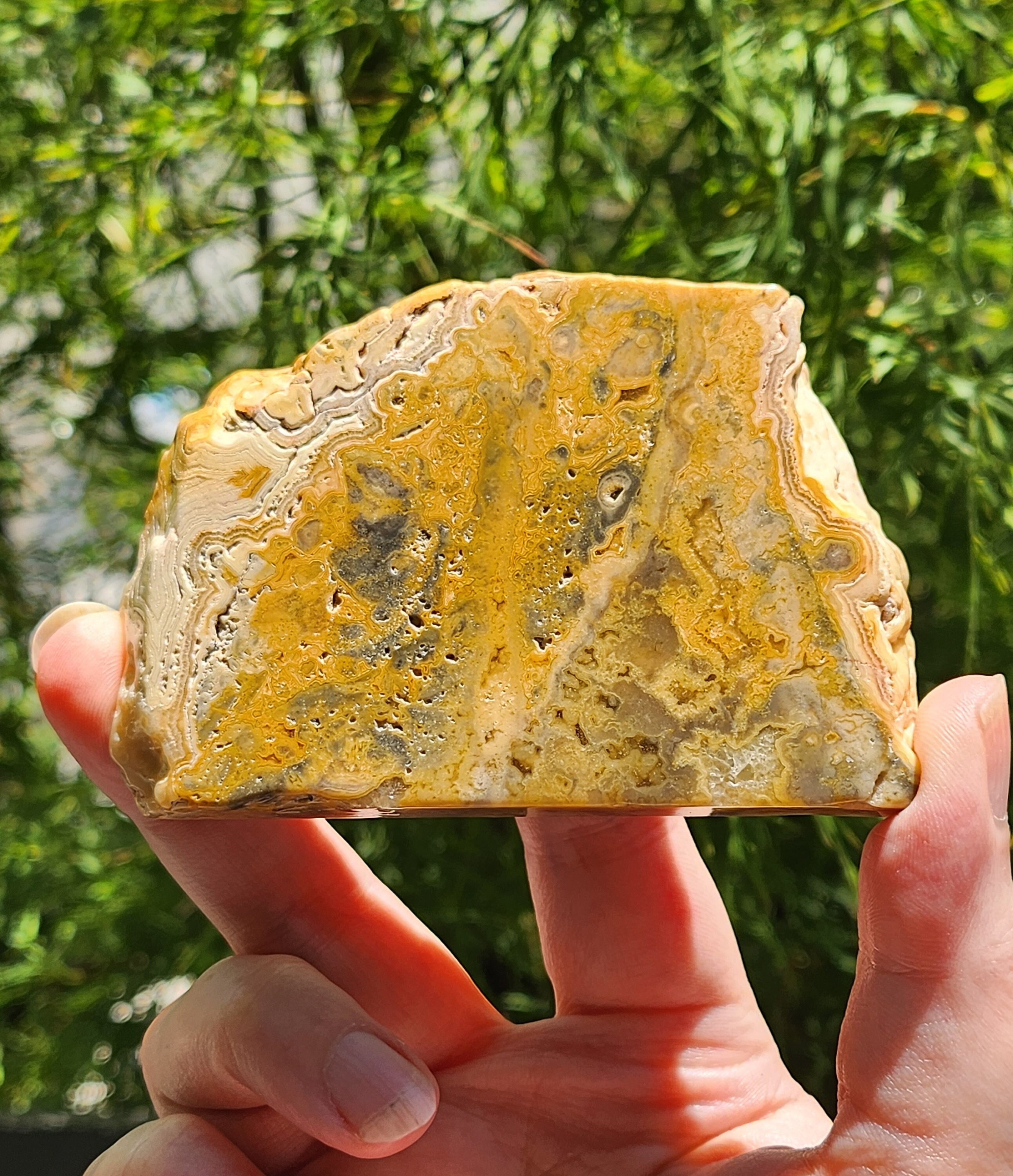 イエロークレイジーレースアゲートスラブ il_fullxfull.5087792642_5emo.jpg