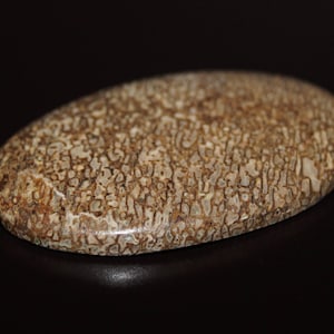 Huge Dinosaur Bone Cabochon, Agatized Dinosaur Bone Cabochon, AAA Quality Fossil Cabochon DLML10