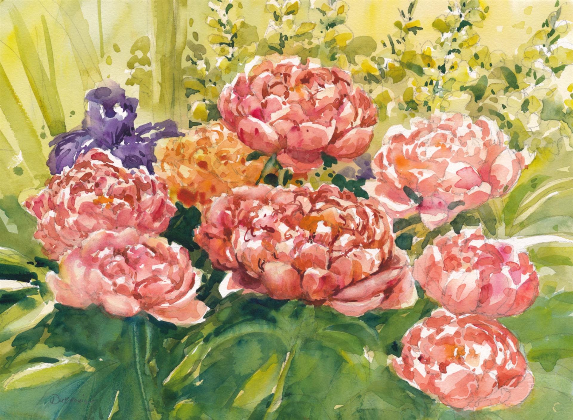 Coral Peonies Original Painting by Diane Dubreuil Etsy