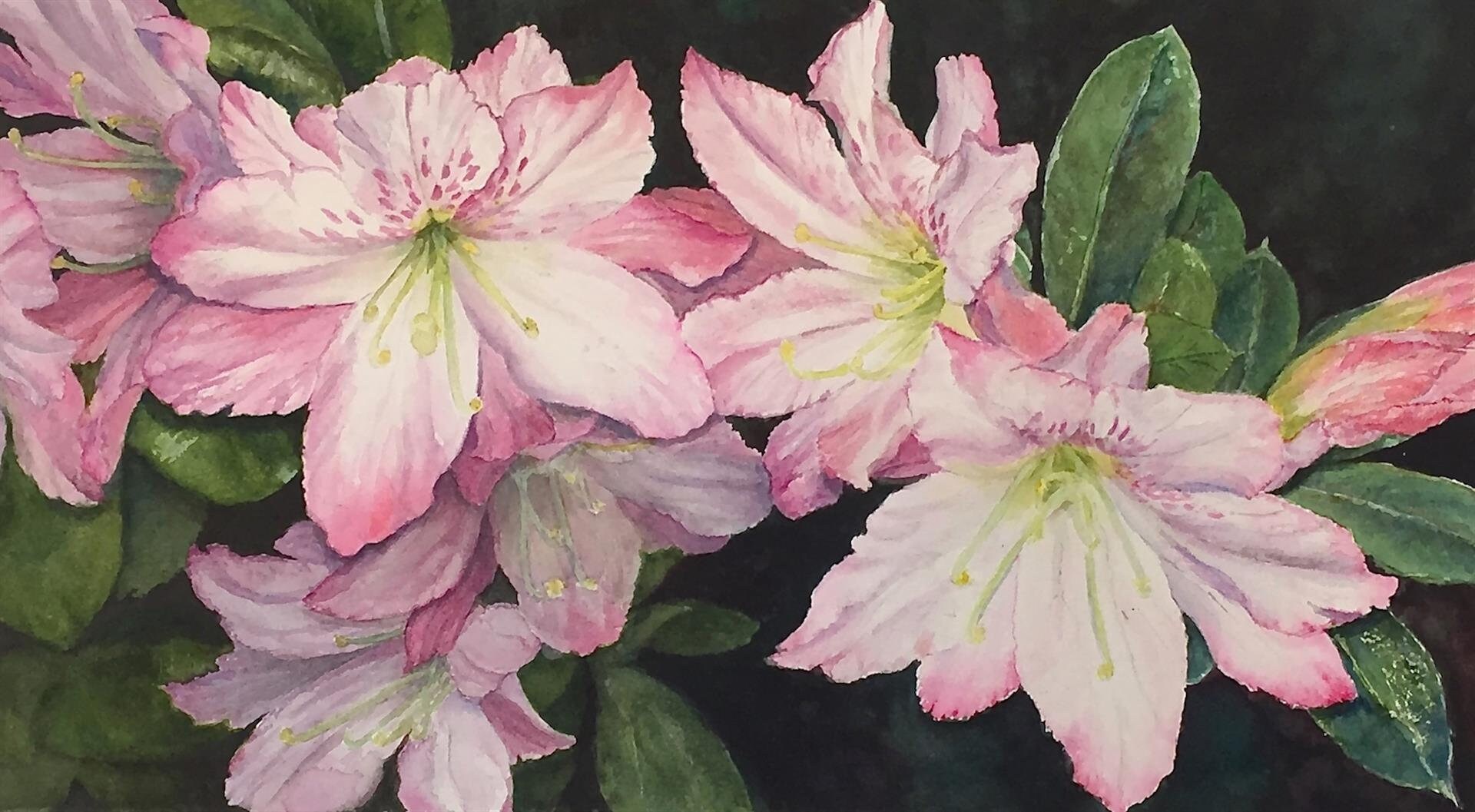 Azalea Close Up Original Painting By Yale Nicolls Etsy