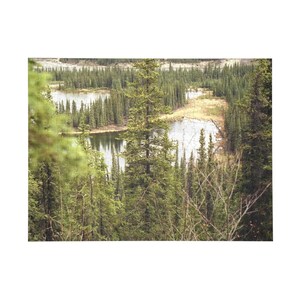 Puzzles, puzzles, puzzles galore!!!  (96, 252, 500, 1000-Piece) Scenery, animals, cemeteries, tombstones, graves, signs and weirdness!