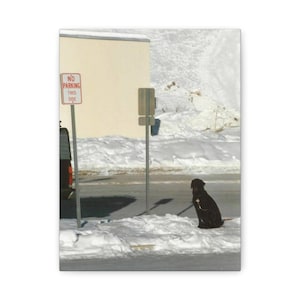 Whimsical Pet Canvas Art Print, Home Decor for Dog Lovers, Heartwarming Gift, Dog Lover Wall Art, Winter Dog Scene Decoration
