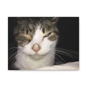 Adorable Cat Canvas Art | Cute Pet Decor | Perfect Gift for Cat Lovers | Wall Art for Home | Feline Photography