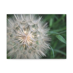 Dandelion Dream Wall Art, Nature Canvas Print, Home Decor, Floral Artwork, Gift for Nature Lovers, Botanical Wall Decor