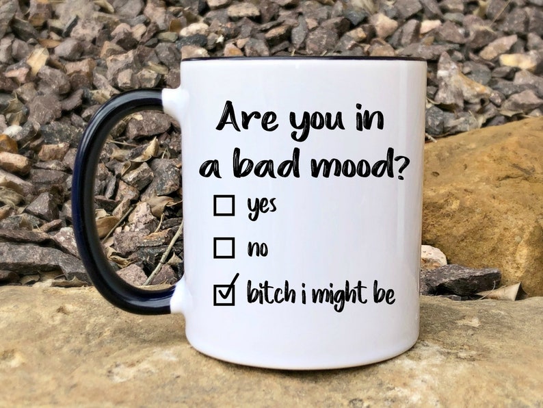 Funny Coffee Mug Best Friend Gift Are You in a Bad Mood Etsy