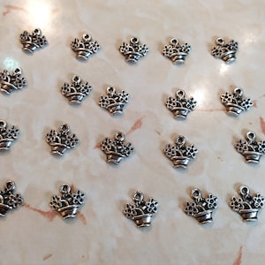 Op de afbeelding: Een verzameling van 19 zilverkleurige metalen bedels in de vorm van bloempotten met bloemen. Elke bedel heeft een lus aan de bovenkant om te bevestigen aan een ketting, armband of andere sieraden.