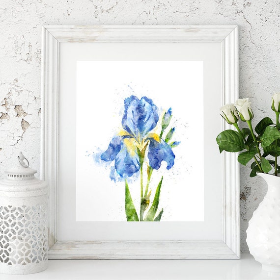 Blue Iris Print Niebieskie Kwiaty Irys Malarstwo Iris Fotografia Iris Art Blue Iris Iris Akwarela Wall Art Dekoracje ścienne Niebieski Kwiat