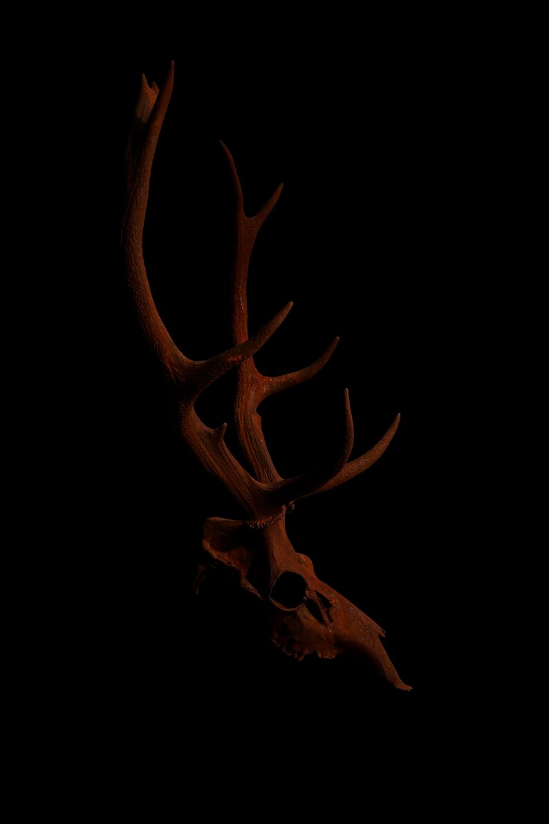 Stags Head Print LANGAN Gaelic Name Meaning bray of the Etsy