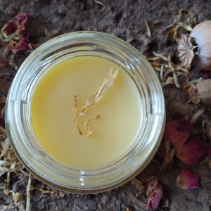 Organic Hand Cream for Dry and Chapped Skin | Nourishing and Moisturizing Formula| All skin types | Wildcrafted | Handmade | Calendula cream