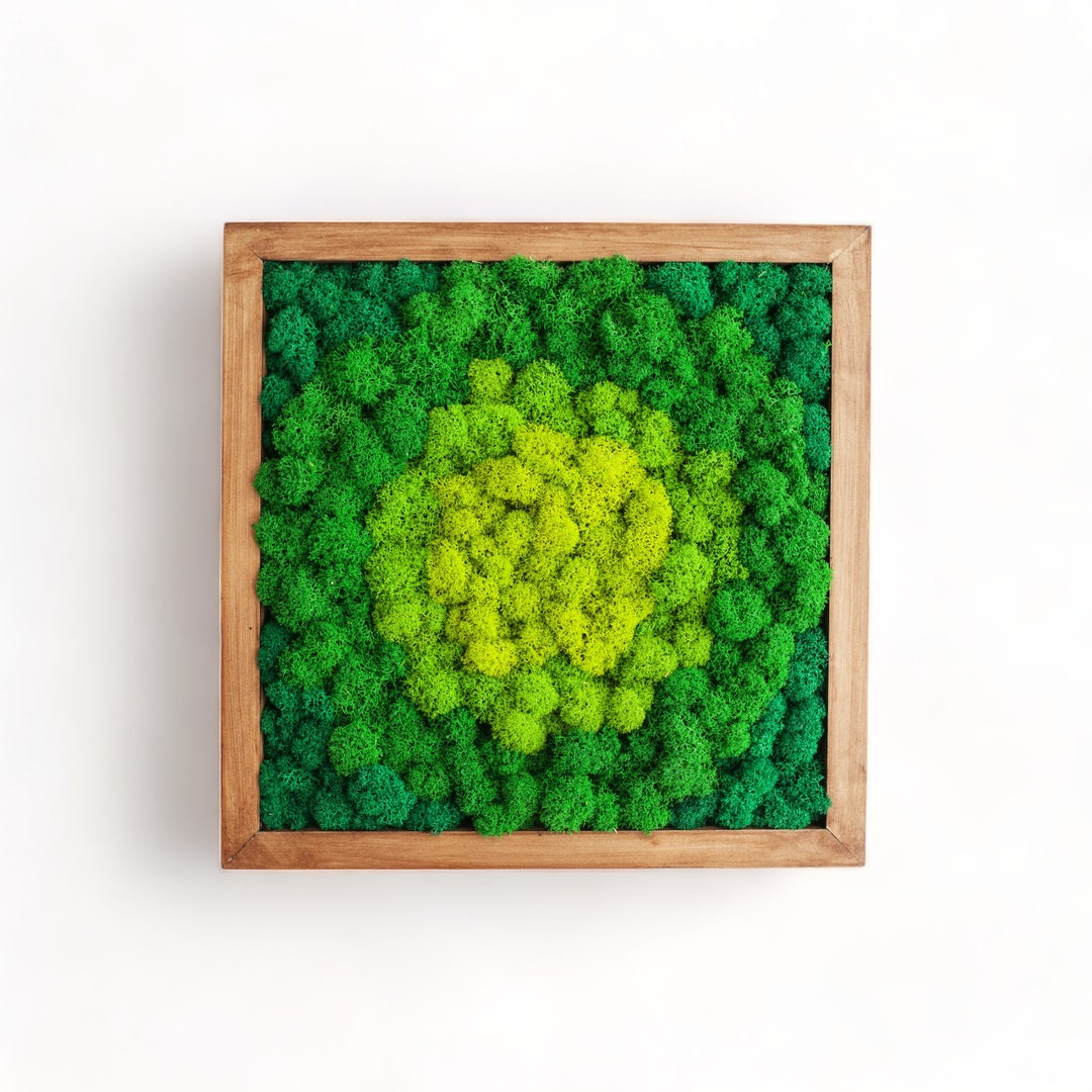 Moss Wall Frame 16 20 or 24 Wood Frame Etsy