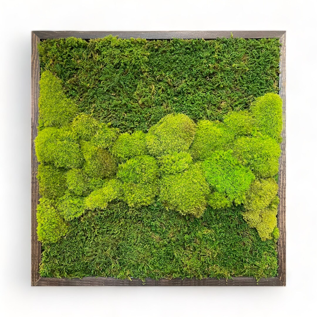 Moss Wall Frame 16 20 or 24 Wood Frame Etsy