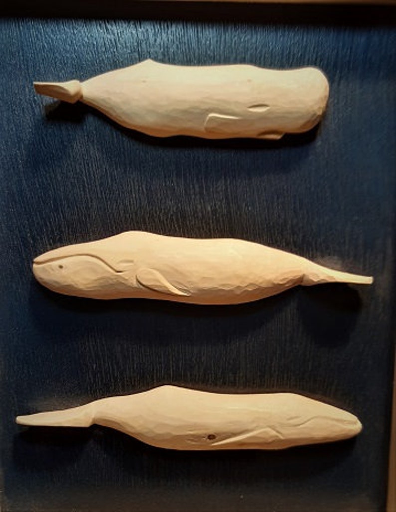 Whales and Cachalot