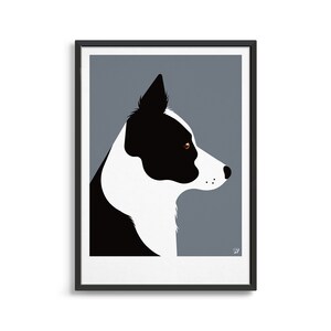 May include: A black and white border collie dog with brown eyes is shown in profile against a gray background. The dog's head and neck are visible, and its ears are perked up.