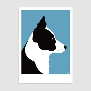 May include: A black and white border collie dog with brown eyes is shown in profile against a light blue background.