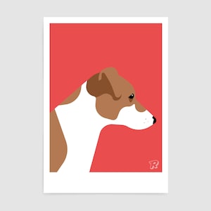 May include: A brown and white dog with a red background. The dog is looking to the right of the image.