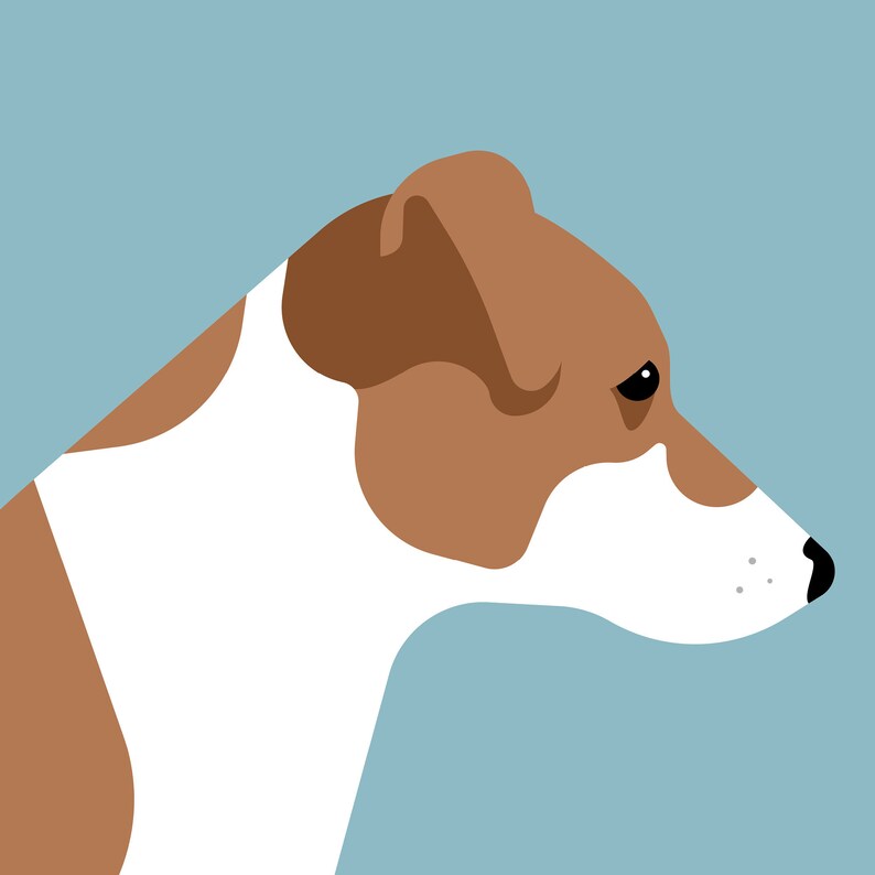 May include: A brown and white dog with a brown ear and a black eye looking to the right. The dog's head and neck are visible against a light blue background.