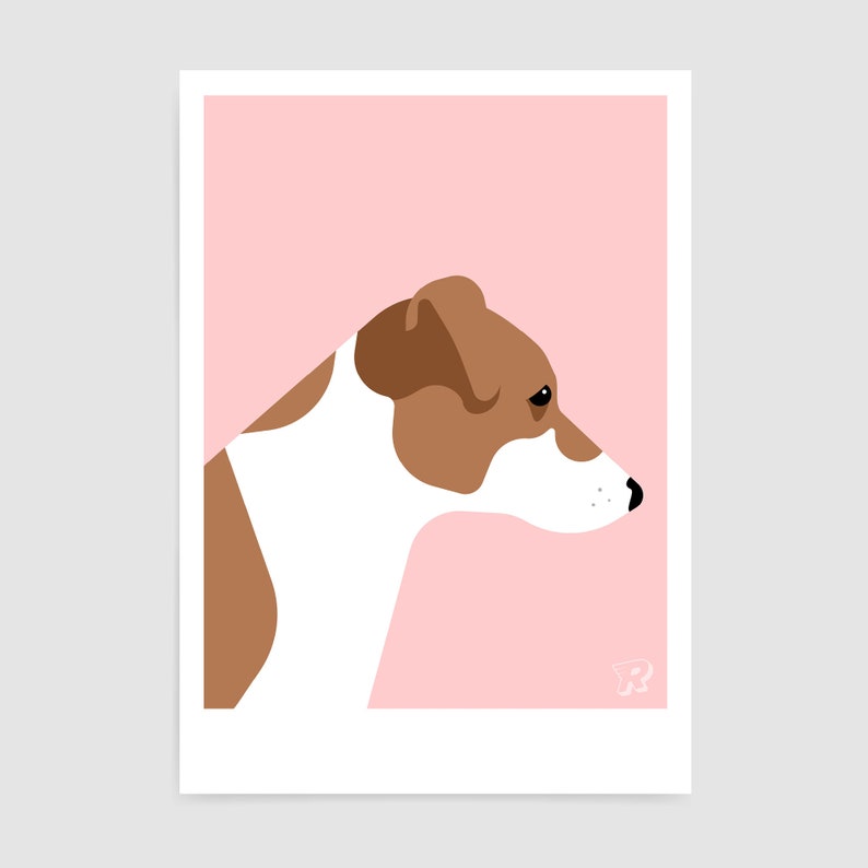 May include: A brown and white dog with brown ears and a pink background.