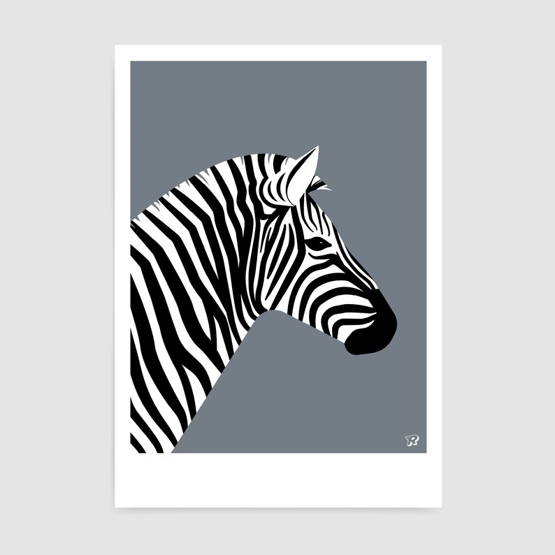 Zebra Wall Art Print / Safari Animal Poster / Fun Gift Ideas Etsy