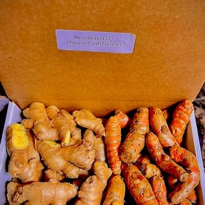 Fresh wild turmeric and ginger  NON GMO 1 LB each Grow your Own