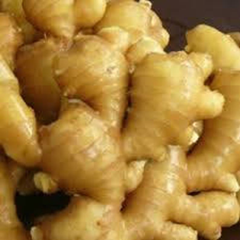 Fresh USDA Certified Organic Ginger Roots 1lb Etsy