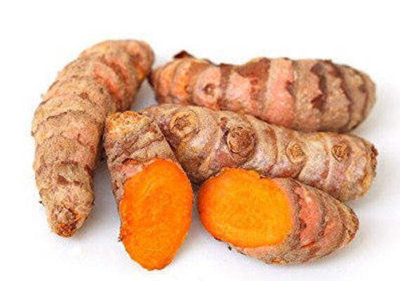Fresh Usda Certified Organic Turmeric Roots 2lb Etsy