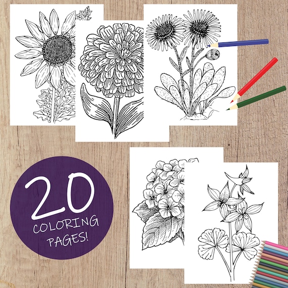 Download Flower Coloring Pages Mom Wife Busy Life