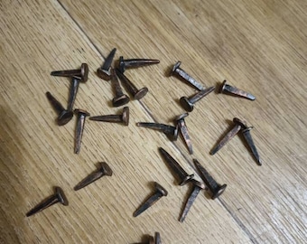 Forged nails 22 pcs.