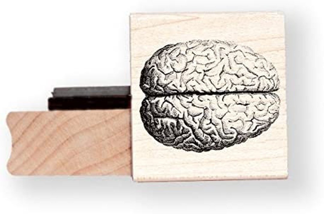Brain Rubber Stamp BR103H Etsy