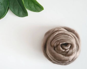 50g of Lyocell Tops /Roving || Earth || DHG Italy