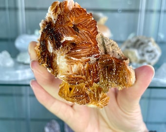 Red Vanadinite on Barite Crystal Specimen | Natural Mineral Collector Display