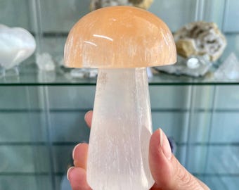 White Peach Selenite Mushroom Carving | Cleansing Energy Crystal Decor