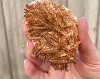 Red Vanadinite on Barite Mineral Specimen | Natural Crystal Display Chunk 3