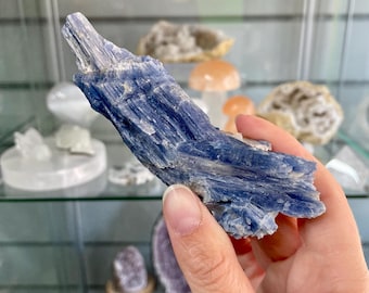 Raw Kyanite Crystal | Natural Unpolished Stone for Energy Alignment, Chakra Healing, Meditation 12cm